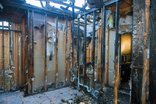 Professional Fire Damage Repair technician working in Lutcher, LA
